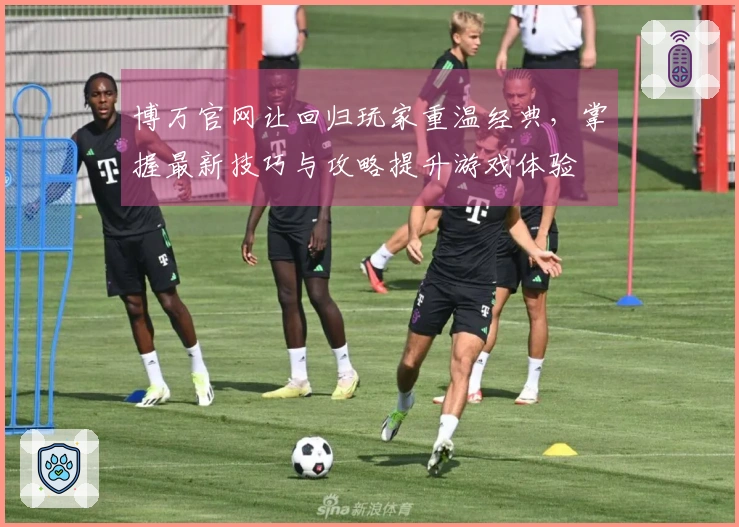 博万官网让回归玩家重温经典，掌握最新技巧与攻略提升游戏体验