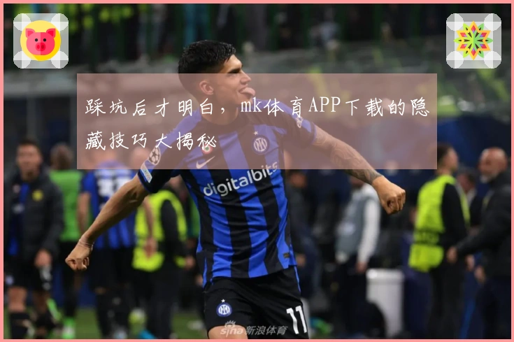 踩坑后才明白，mk体育APP下载的隐藏技巧大揭秘