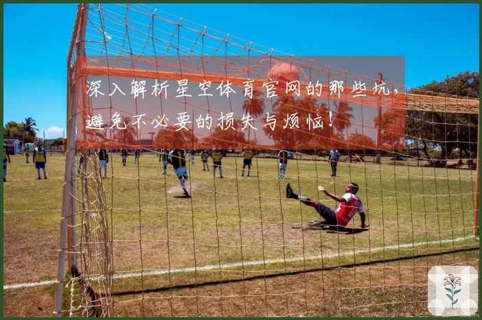 深入解析星空体育官网的那些坑，避免不必要的损失与烦恼！